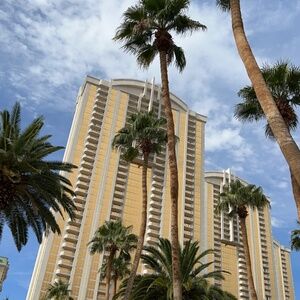 Meet your Posher, Fabiola